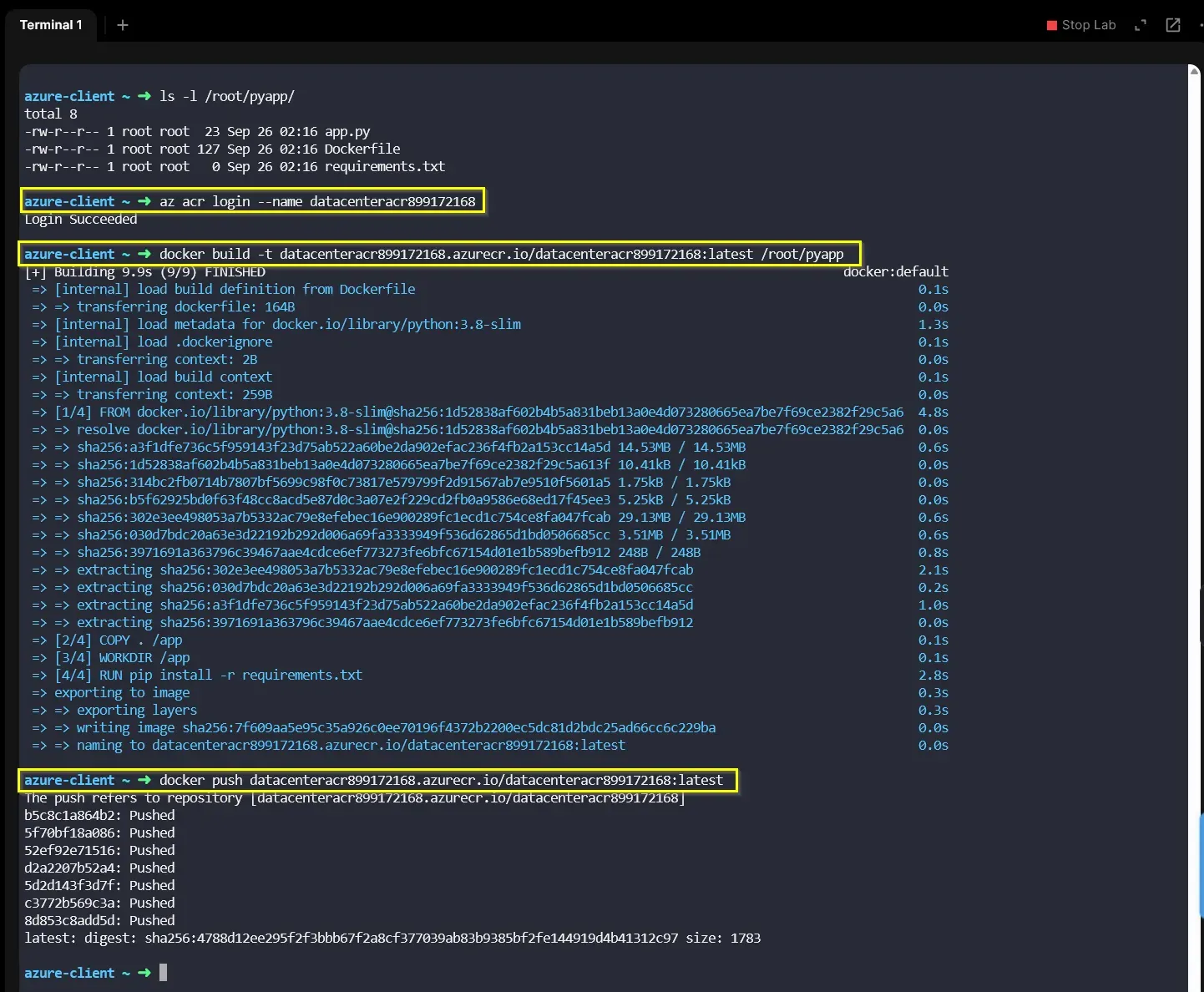ACR Login, Docker Build, and Push Execution